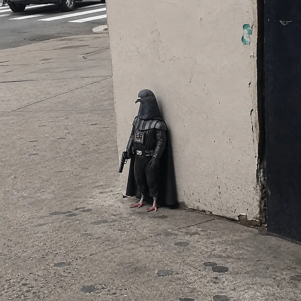 The pigeon leaning against the wall — black armour.