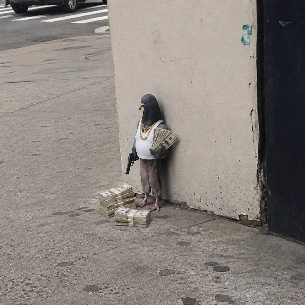 The pigeon leaning against the wall — the cash.