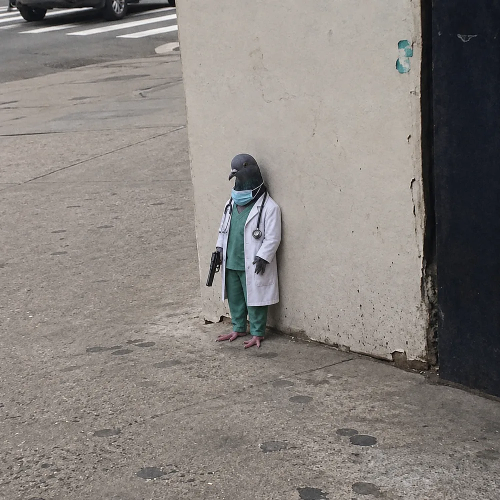 The pigeon leaning against the wall — scrubs.