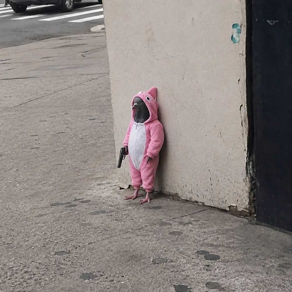 The pigeon leaning against the wall — pink onesie.