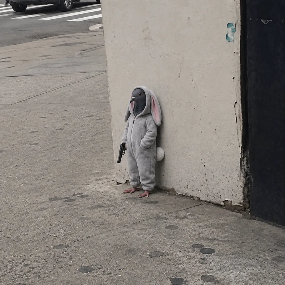 The pigeon leaning against the wall — the ears.